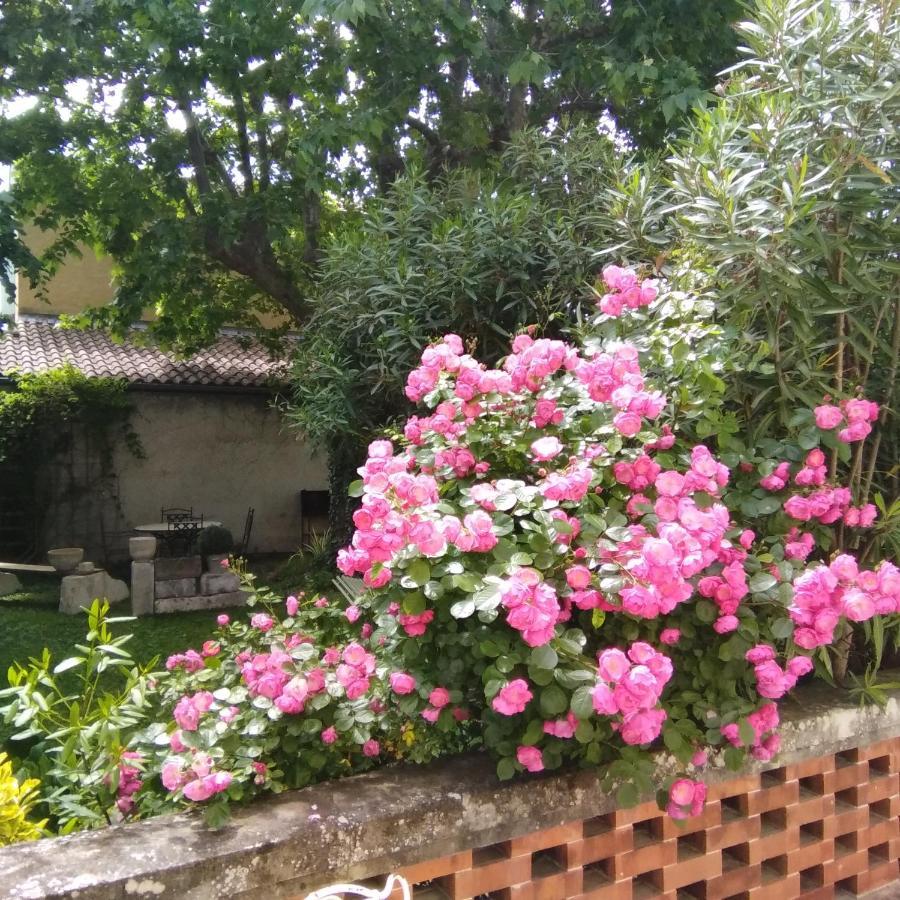 Le Mas Des Dames Appartement Avignon Bagian luar foto